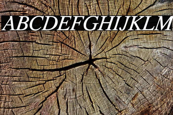 TribunADFStd-Italic Font examples