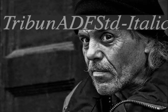 TribunADFStd-Italic Font examples