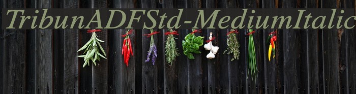 TribunADFStd-MediumItalic Font examples