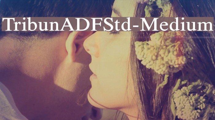 TribunADFStd-Medium Font examples