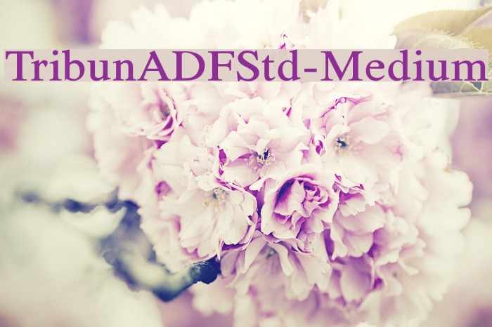 TribunADFStd-Medium Font examples