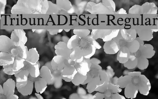 TribunADFStd-Regular Font examples