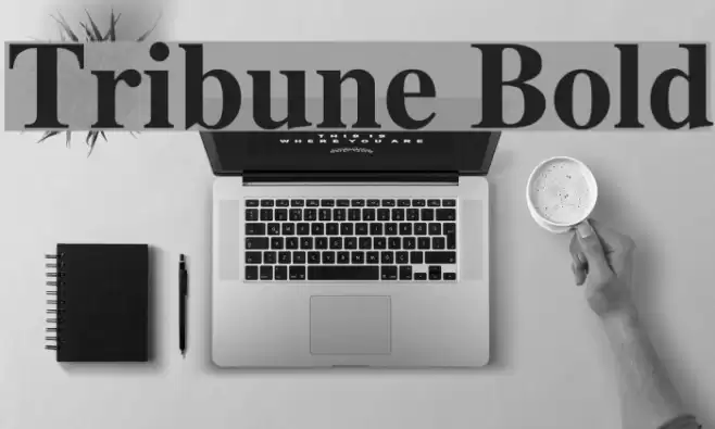Tribune Bold Font examples