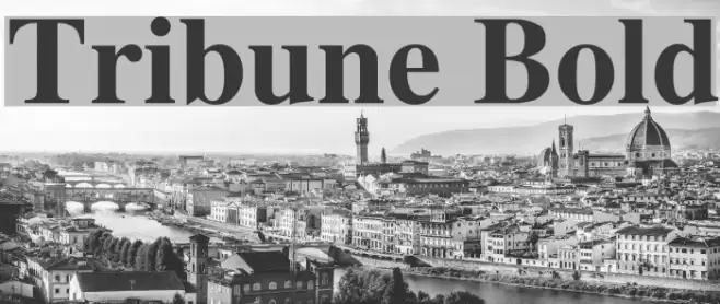 Tribune Bold Font examples