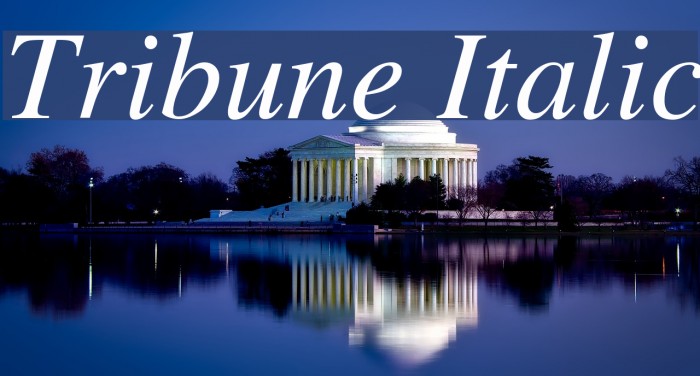 Tribune Italic Font examples