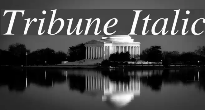 Tribune Italic examples