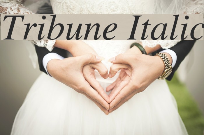 Tribune Italic Font examples