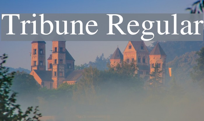 Tribune Regular Font examples