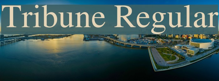 Tribune Regular Font examples