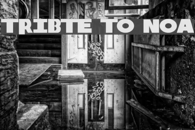 Tribute to Nova Schriftart examples