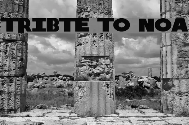 Tribute to Nova Schriftart examples