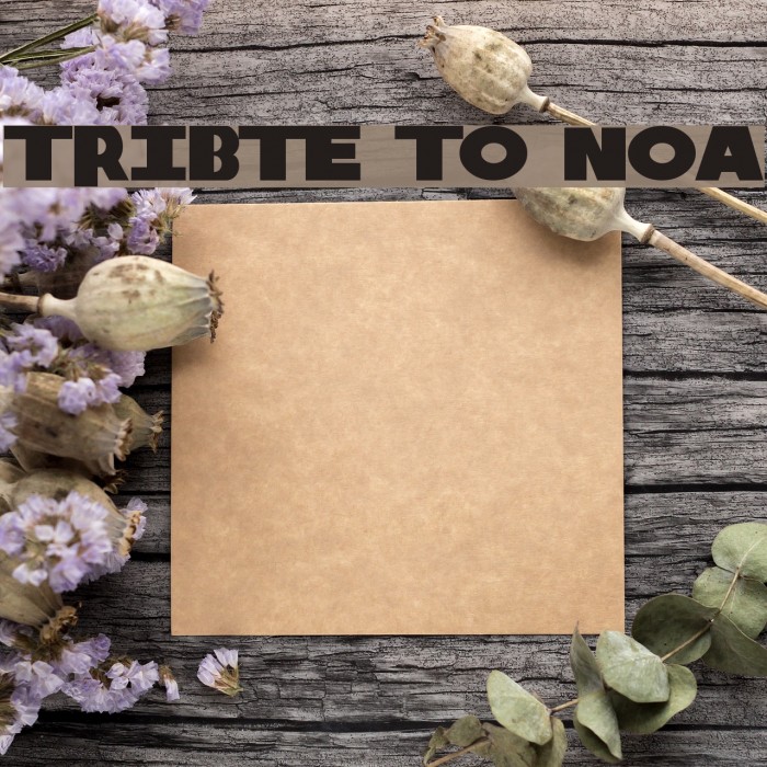 Tribute to Nova Font examples