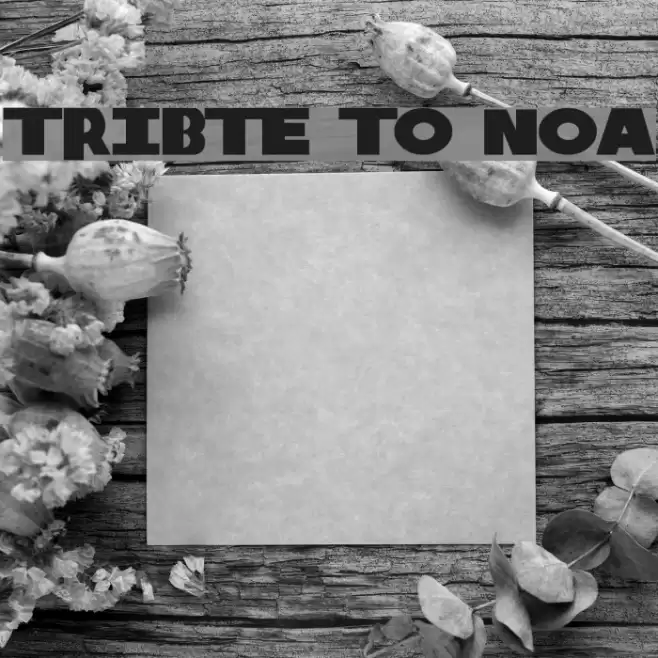 Tribute to Nova Schriftart examples