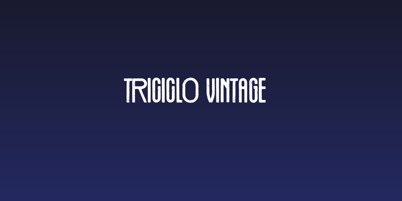 Triciclo Vintage Social Header