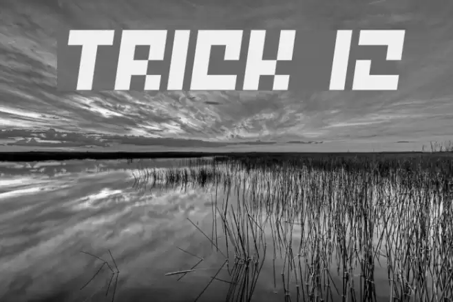 Trick 12 Font examples