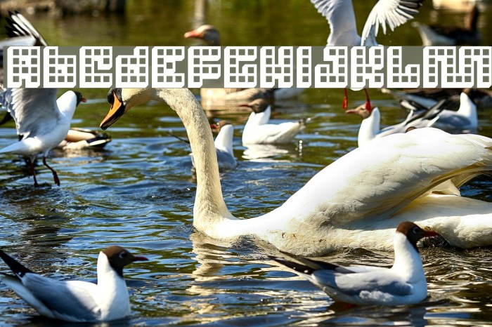 Trick 3D Font examples