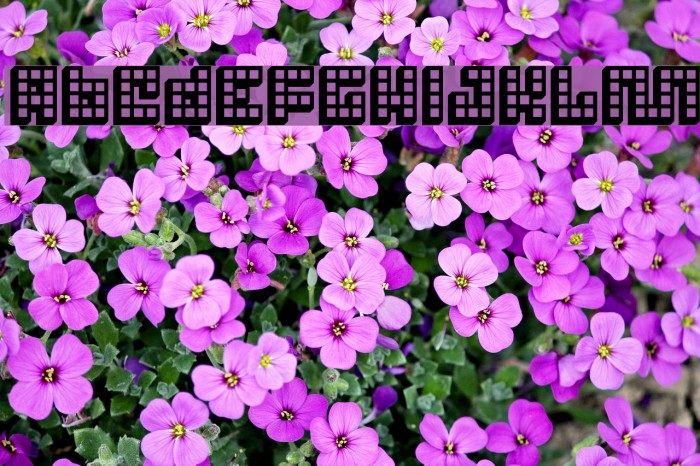 Trick 3D Font examples