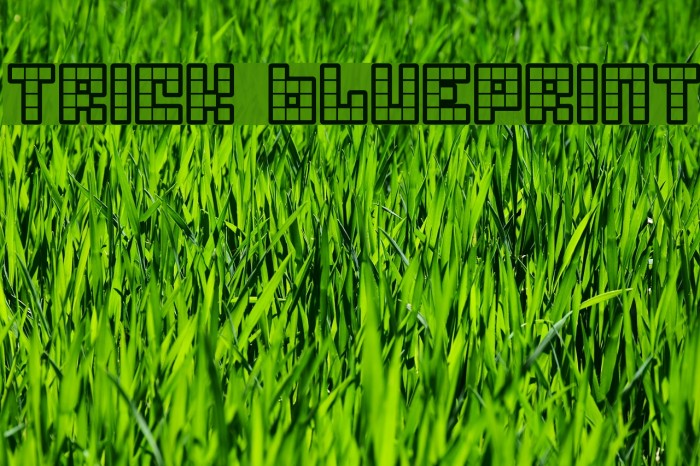 Trick Blueprint Example 2