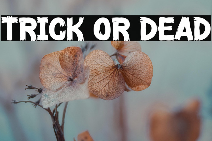Trick Or Dead Example 1