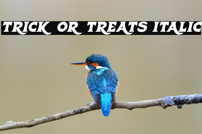 Trick Or Treats Italic Example 1