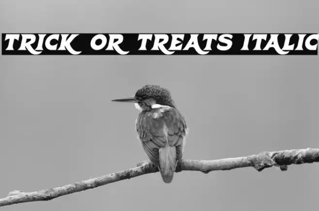 Trick Or Treats Italic Font examples