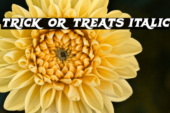 Trick Or Treats Italic Example 2