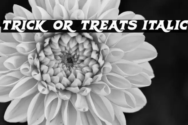 Trick Or Treats Italic Font examples