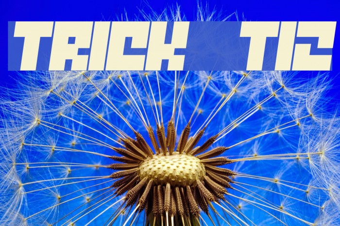 Trick  T12 Example 3