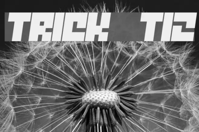 Trick T12 Font examples