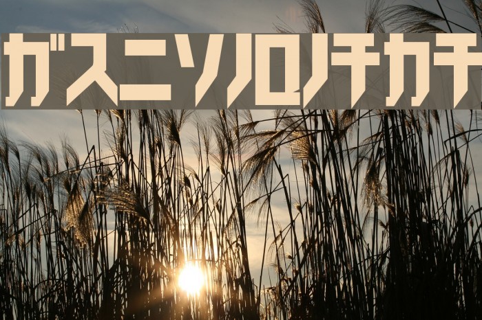 Trick_kata Example 3