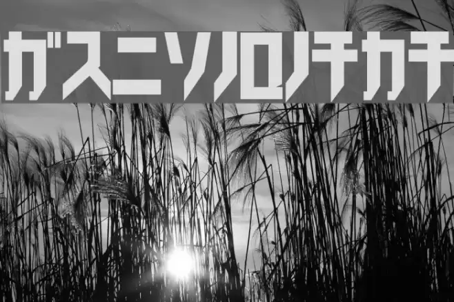 Trick_kata Font examples