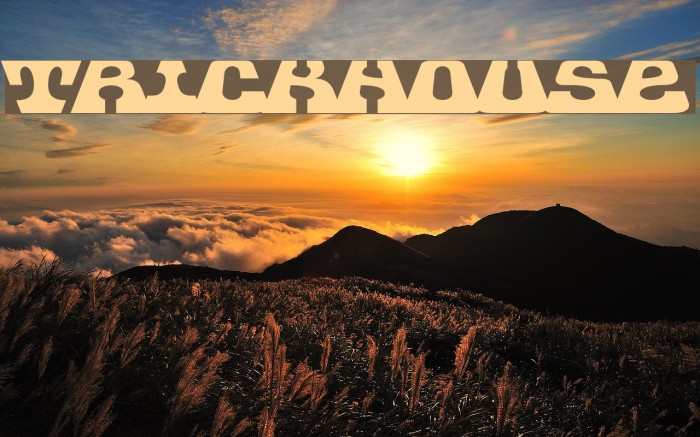 Trickhouse Font examples