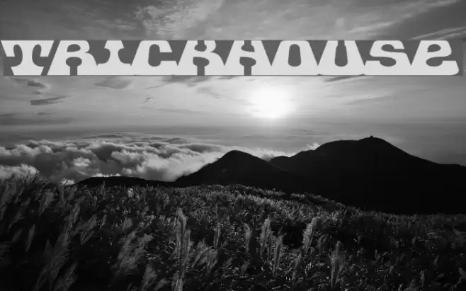 Trickhouse Font examples