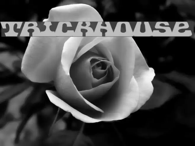 Trickhouse Font examples
