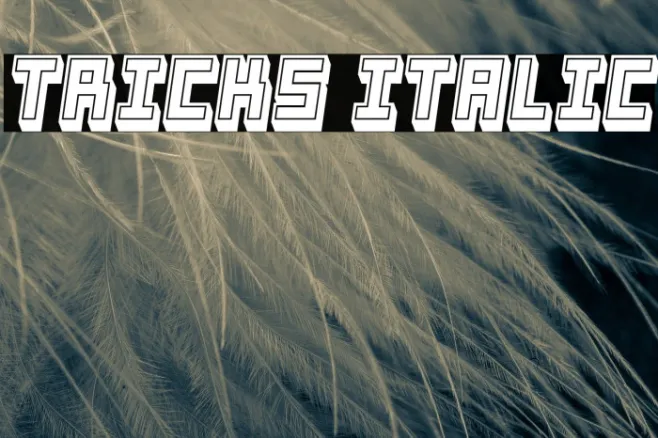 Tricks Italic Example 1