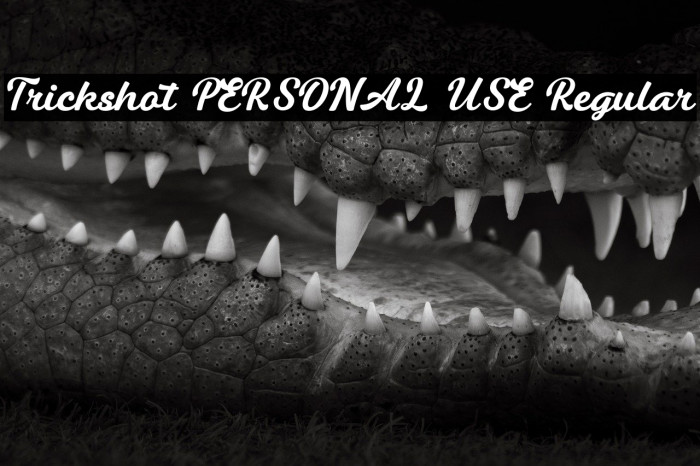 Trickshot PERSONAL USE Regular Example 1