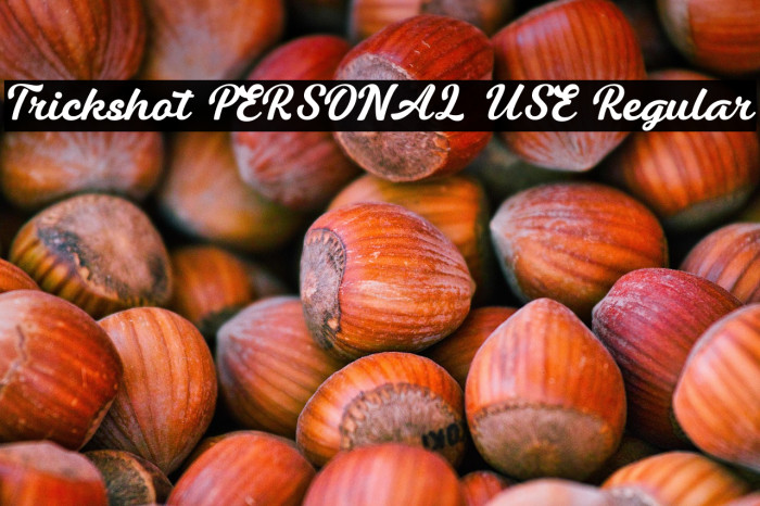 Trickshot PERSONAL USE Regular Example 2