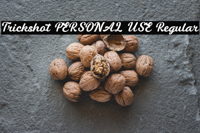 Trickshot PERSONAL USE Regular Example 3