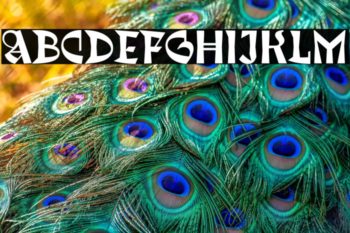 Trickster Reg Fonte examples