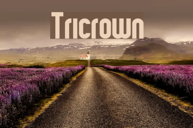 Tricrown Example 1
