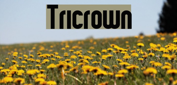 Tricrown Font examples