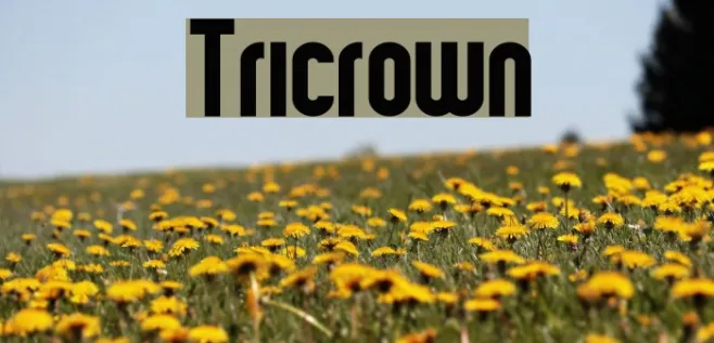 Tricrown Example 2