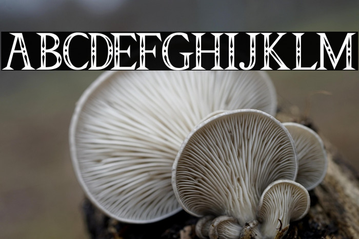 Triforce(RUS BY LYAJKA) Triforce Example 1