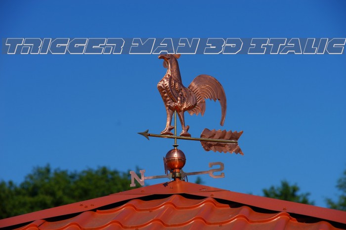 Trigger Man 3D Italic Font examples
