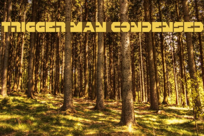 Trigger Man Condensed Font examples