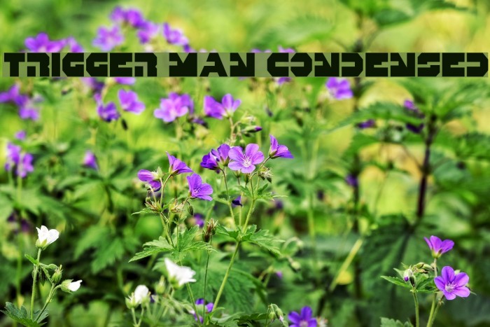 Trigger Man Condensed Font examples
