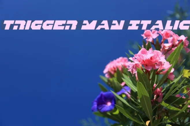 Trigger Man Italic Example 1
