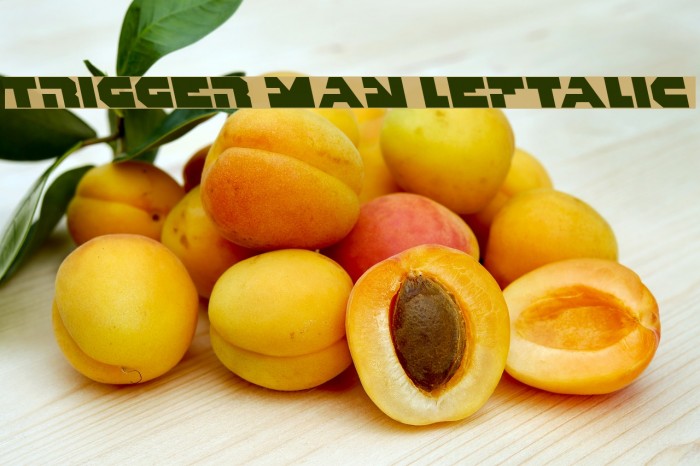 Trigger Man Leftalic Example 2