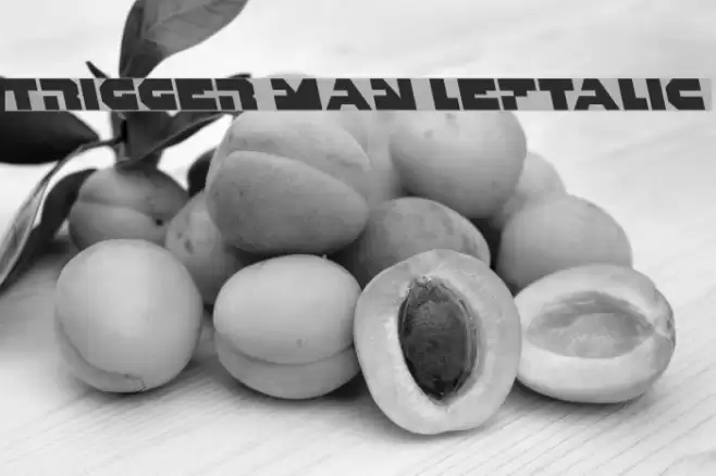 Trigger Man Leftalic Font examples