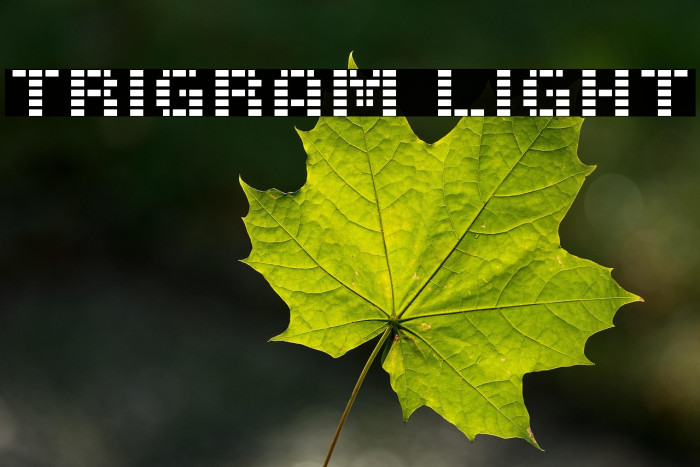 Trigram Light Example 3